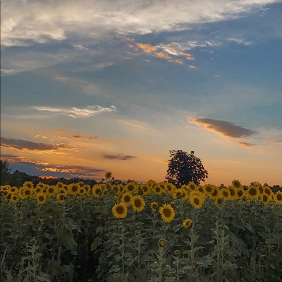 Meet your Posher, Alli - Picture 1 of 1